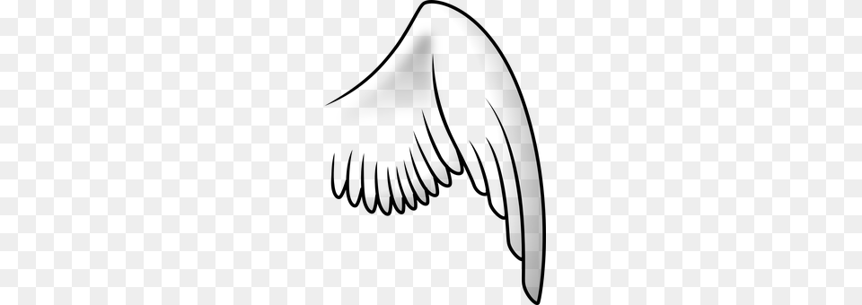 Wing Gray Png Image