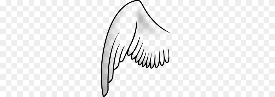Wing Gray Free Png
