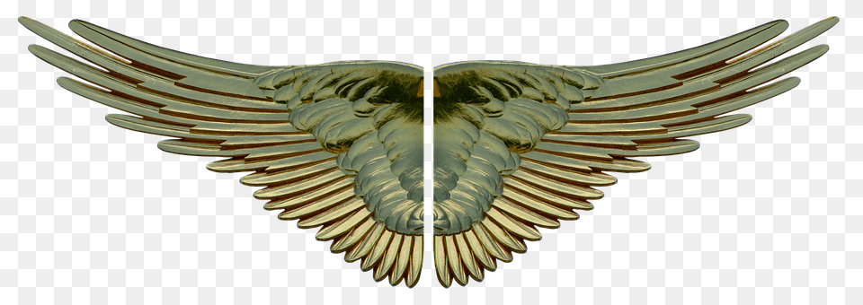Wing Emblem, Symbol, Animal, Bird Png Image