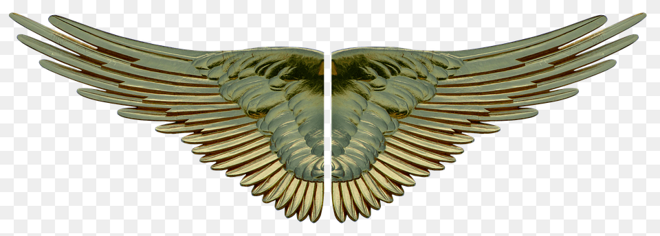 Wing Emblem, Symbol, Animal, Bird Free Transparent Png