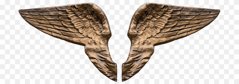 Wing Bronze, Wood, Animal, Bird Free Png Download