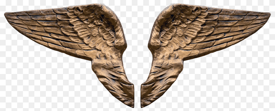 Wing Bronze, Wood, Animal, Bird Png Image