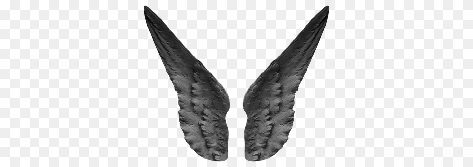 Wing Weapon, Angel Png Image