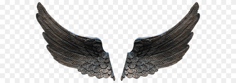 Wing Accessories, Jewelry, Necklace Free Png