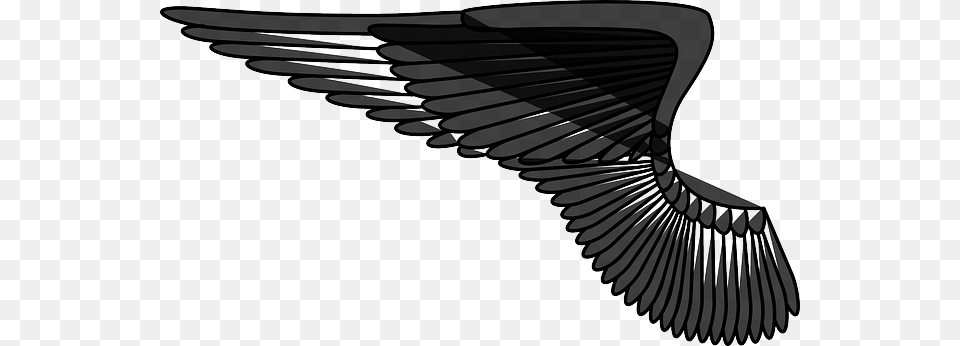 Wing Silhouette, Animal, Bird, Flying Free Transparent Png