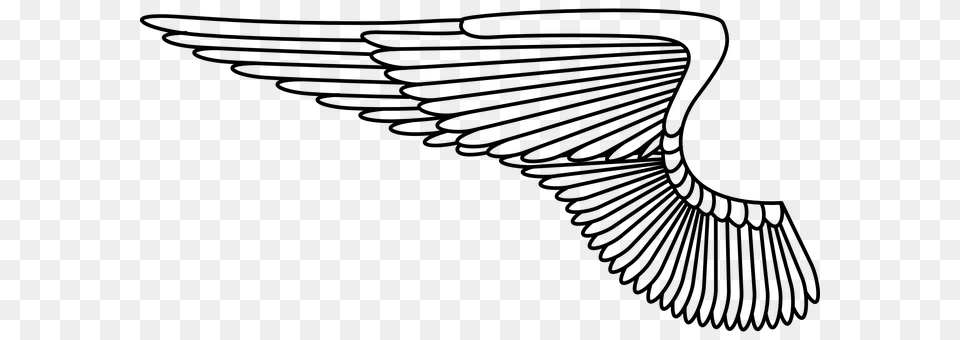 Wing Gray Free Transparent Png