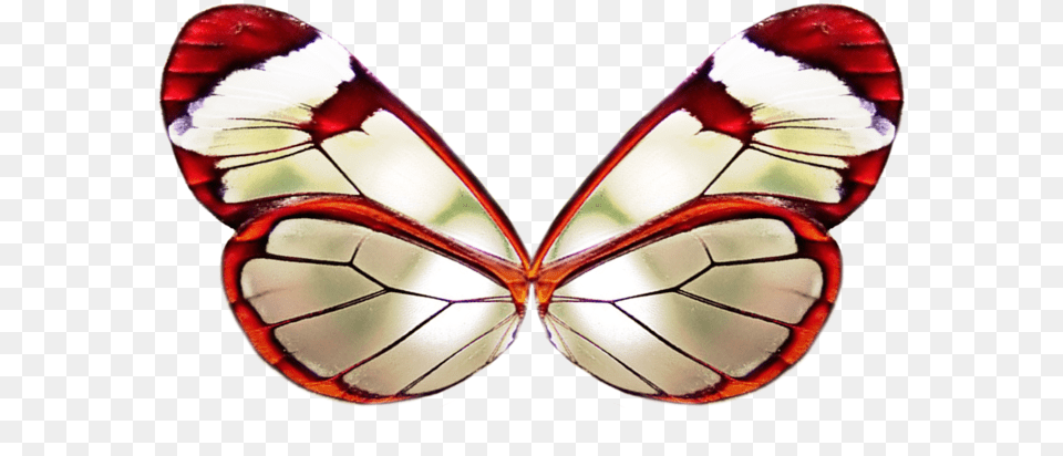 Wing 3 By Moonglowlilly Red Butterfly Wings, Animal, Insect, Invertebrate Free Transparent Png