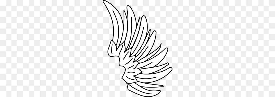 Wing Symbol, Animal, Fish, Sea Life Free Transparent Png
