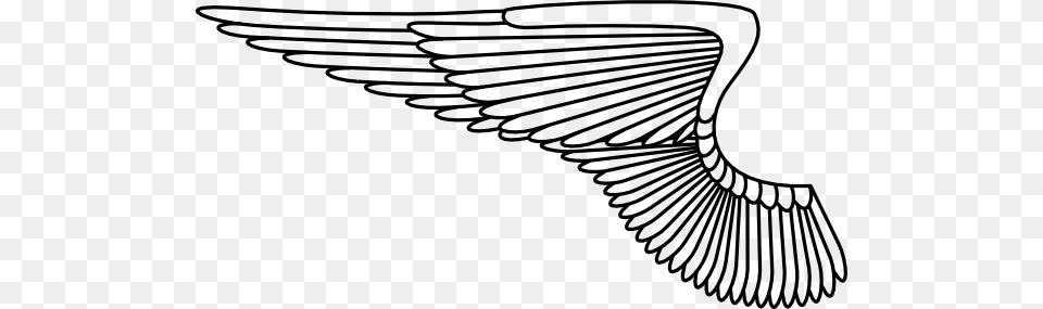 Wing Air Force Wings, Animal Free Png