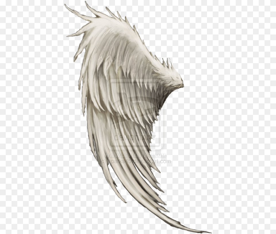 Wing Angel Clip Art Male Angel Wings Hd, Animal, Bird Free Transparent Png