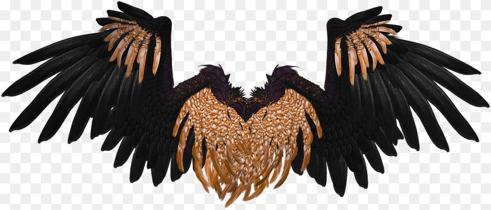Wing Angel Flying Gold Black Isolated 3d Render Black And Gold Angel Wings, Animal, Bird, Vulture Free Transparent Png