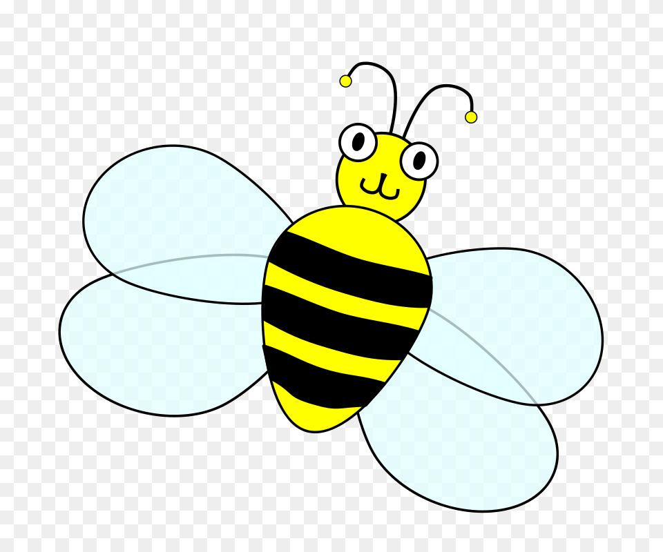 Wing Clip Art, Animal, Invertebrate, Insect, Bee Png