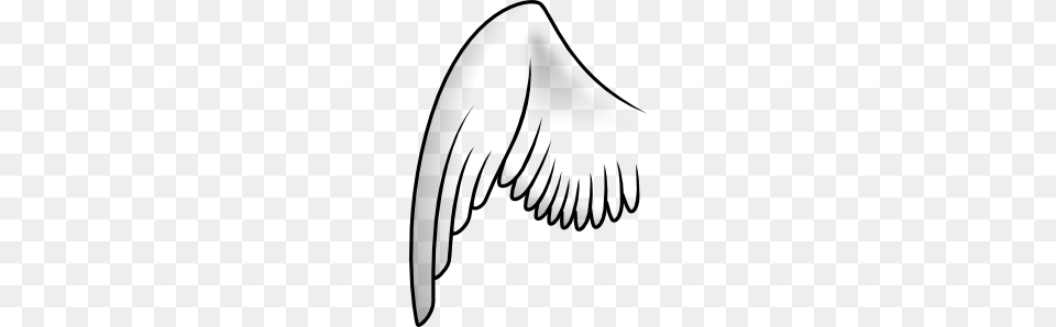Wing Clip Art Vector, Animal, Bird, Flying, Vulture Free Transparent Png