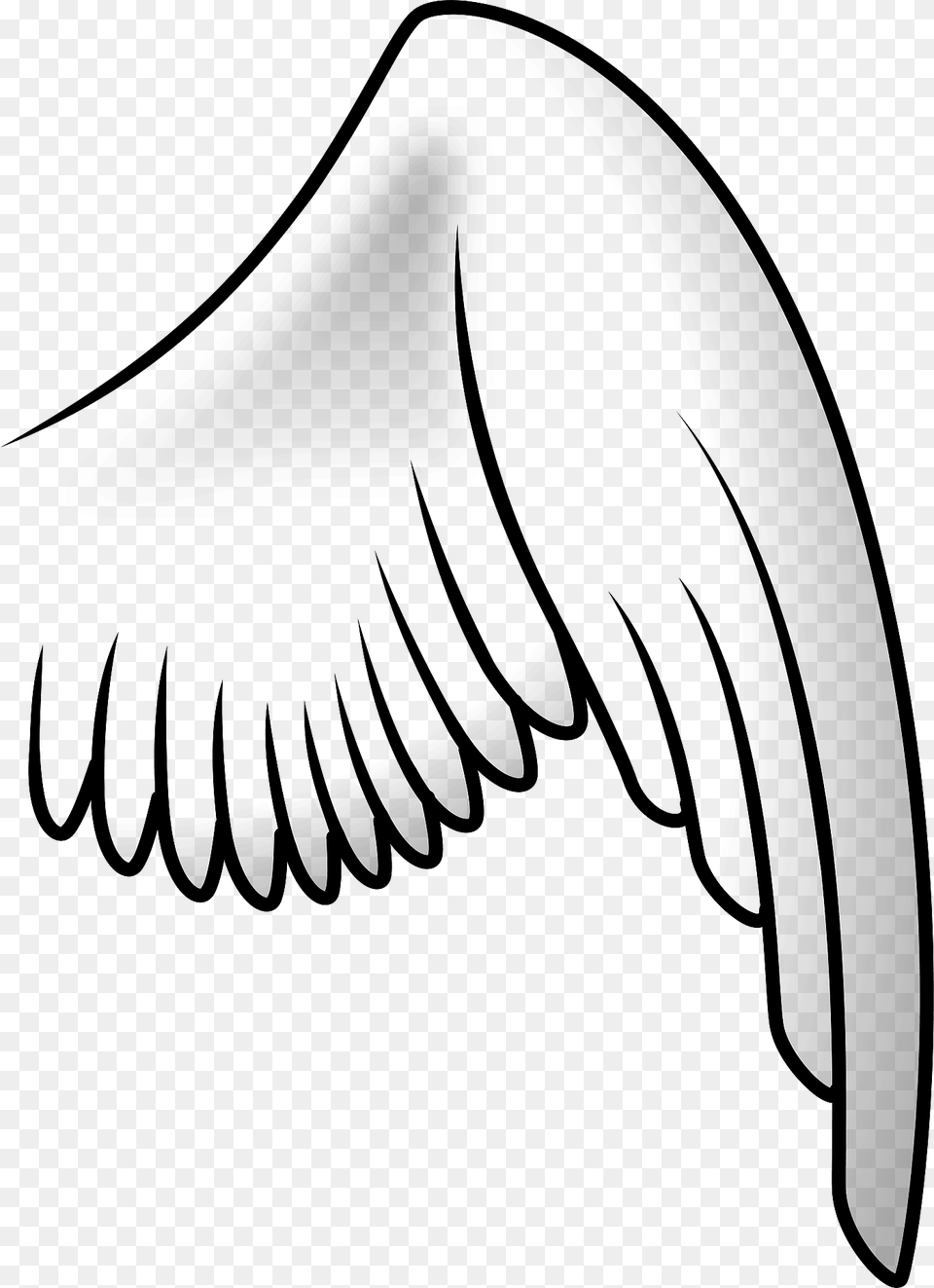 Wing Clipart, Animal, Beak, Bird, Bow Free Transparent Png