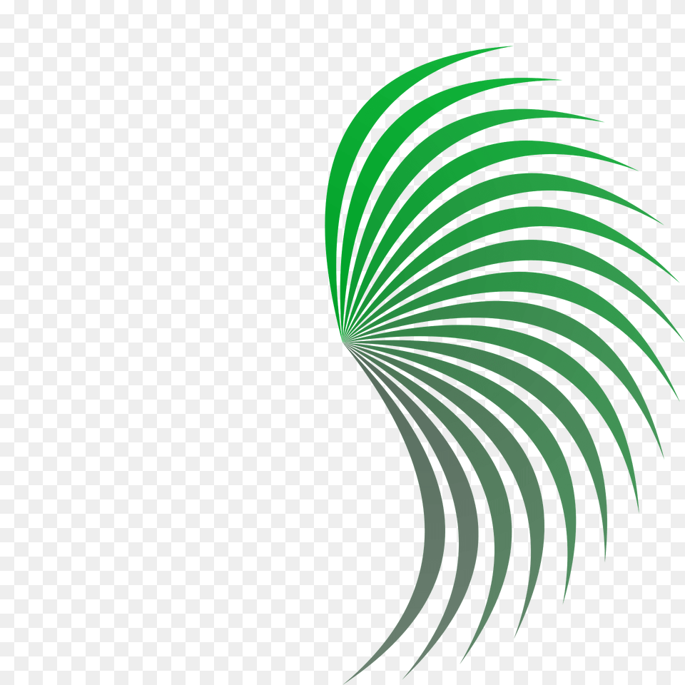 Wing Clipart, Art, Graphics, Green, Pattern Png Image