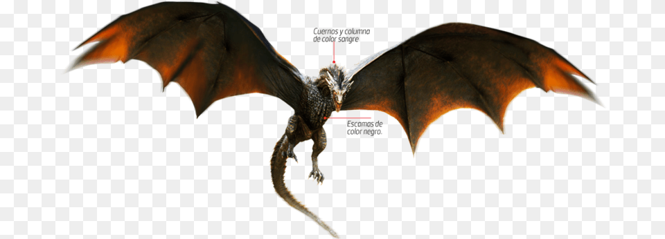 Wing Daenerys Rhaegal Drogon Targaryen Game Of Thrones Dragon, Accessories, Ornament, Animal, Bird Png
