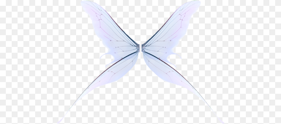 Wing Fairy Fairywing Sky Fly Wings Wingsofanangel Butterfly, Animal, Insect, Invertebrate, Appliance Free Png