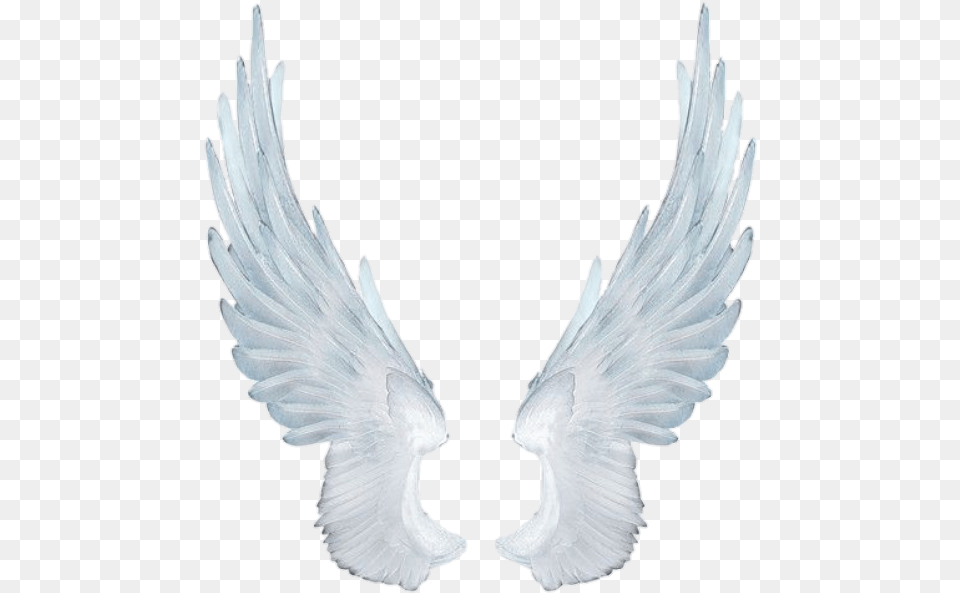 Wing Fairy Fairywing Sky Fly Wings Wingsofanangel White Angel Wings, Animal, Bird, Pigeon Free Png Download