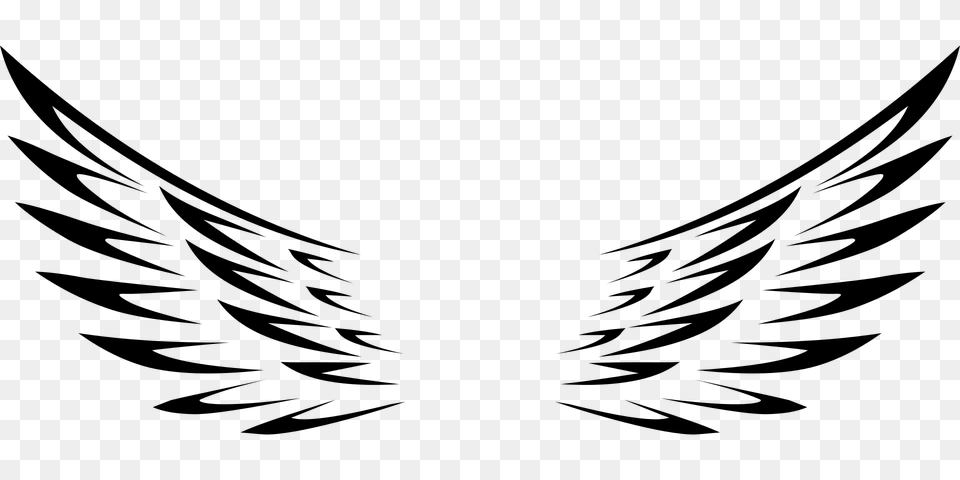 Wing Feather Clipart Explore Pictures, Gray Free Png Download