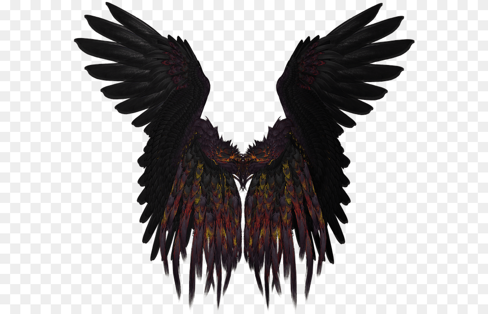 Wing Feather Flying Black Isolated Gold Render Black Angel Wings, Animal, Bird, Blackbird, Vulture Free Png Download