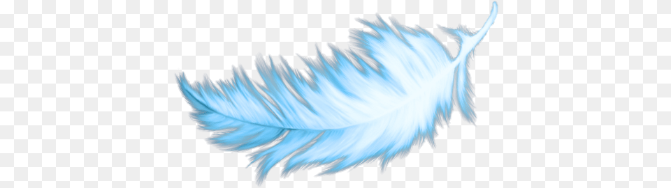 Wing Feather Love Freedom Freetoedit Remixit Macro Photography, Ice, Weather, Snow, Outdoors Free Png
