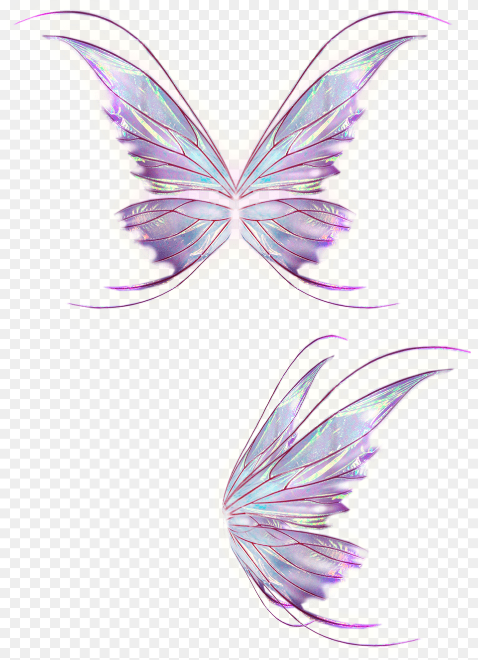 Wing Free Download Hq Png