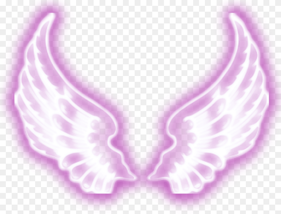 Wing Neon Wings Angel Fly Freetoedit Wings For Photo Editing, Purple, Plate, Accessories Free Png