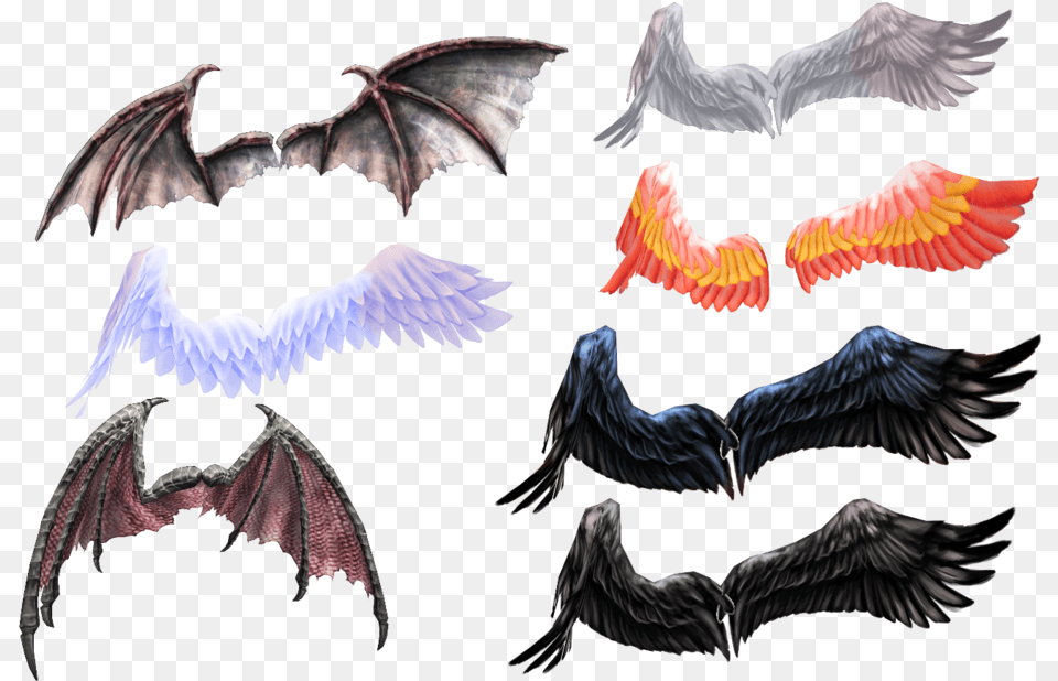 Wing Pack From Ginjishipicture Source And Download Mmd Wings, Animal, Bird, Flying, Vulture Free Png