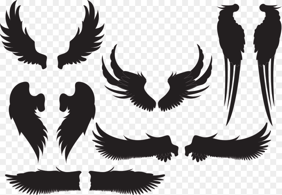 Wing Silhouette At Getdrawings Asas Silhueta, Person, Animal, Bird Free Transparent Png