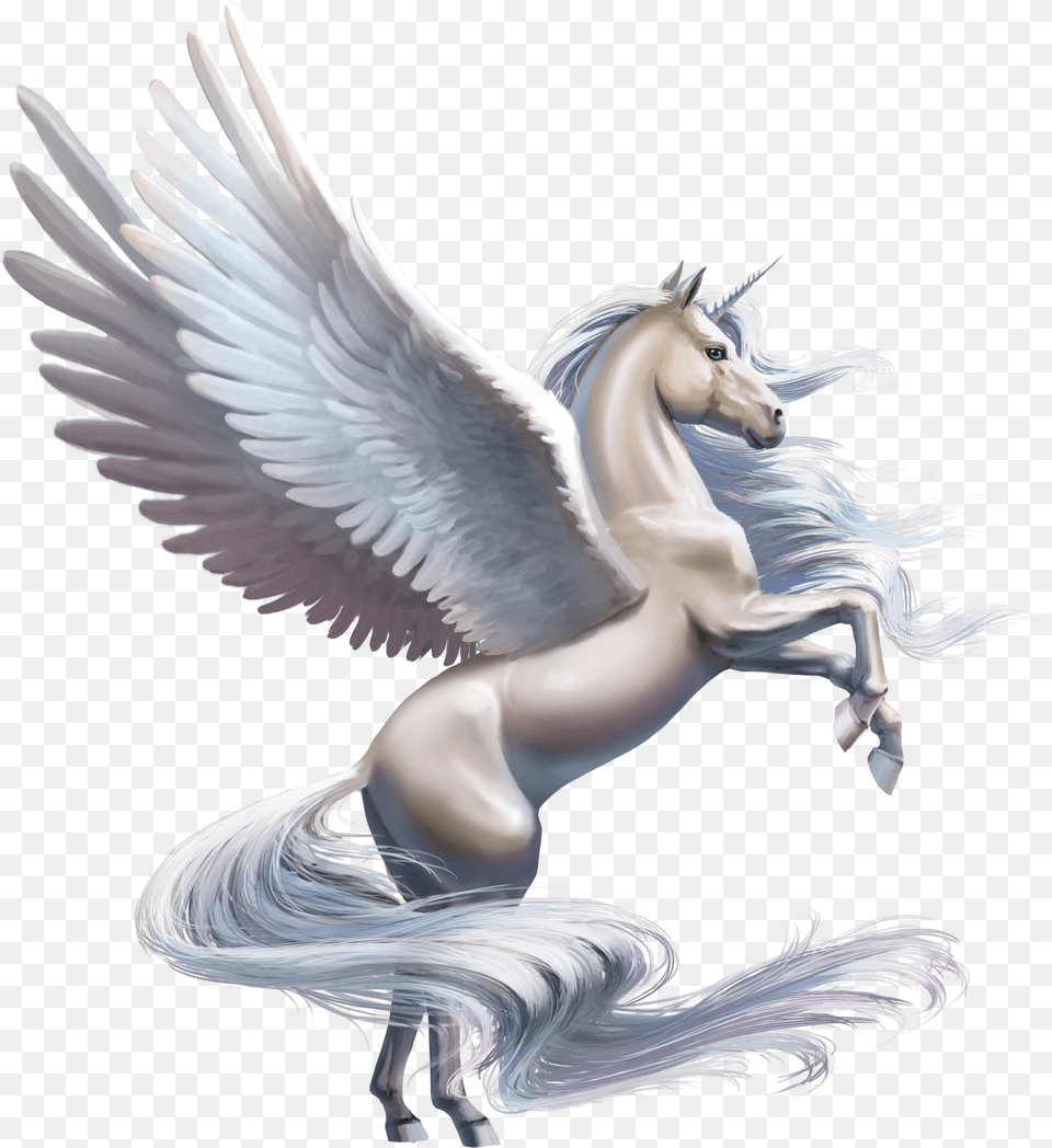 Wing Unicorn, Animal, Bird, Angel Free Png