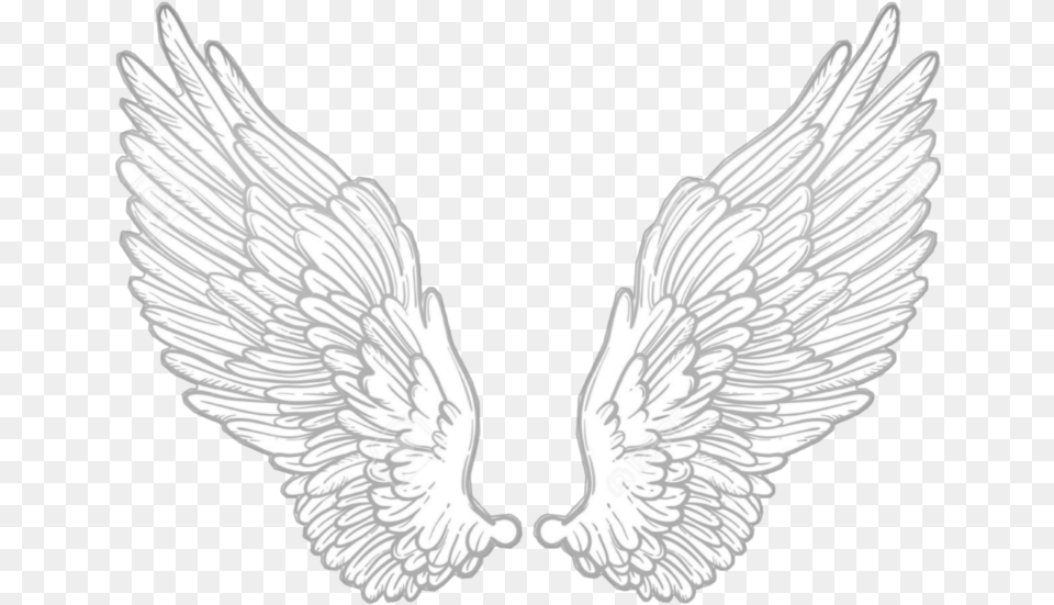 Wing Wings Angel Anglewings White Alone Cute, Animal, Bird Free Png