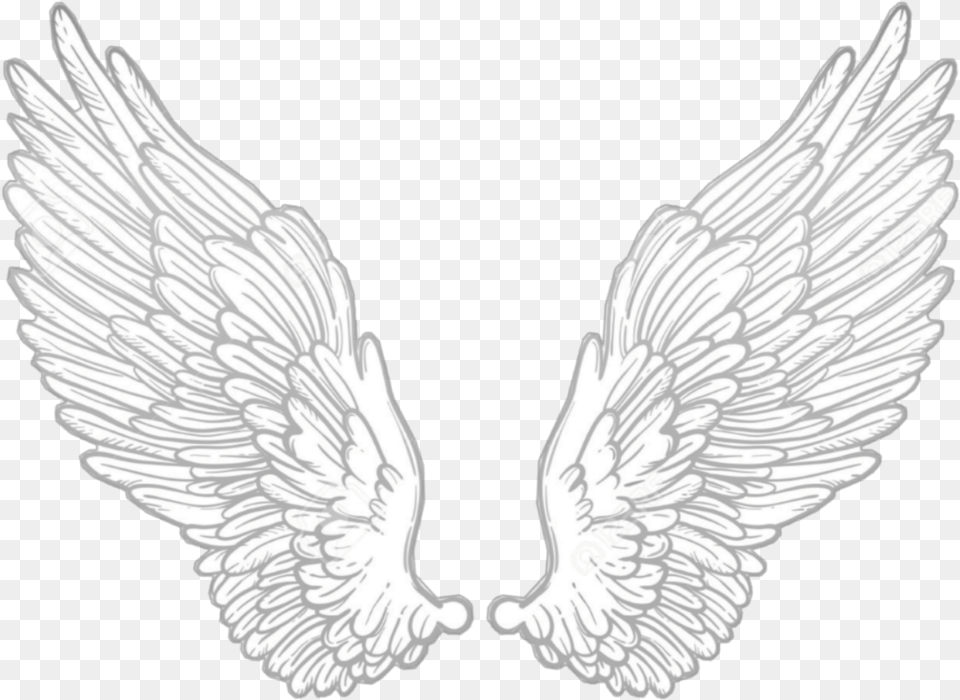Wing Wings Angel Anglewings White Alone Cute Dripping Effect For Picsart Wings, Animal, Bird Free Png