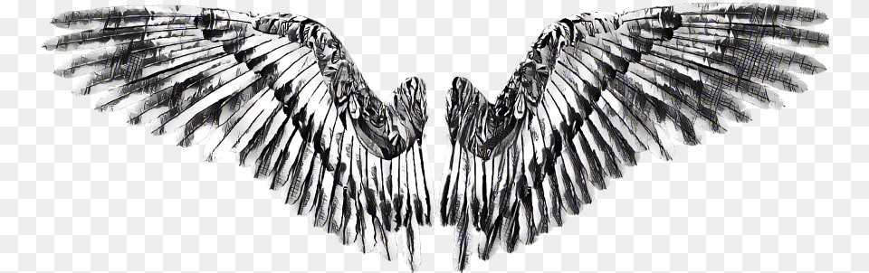 Wing Wings Angel Devil Golden Eagle, Art, Animal, Bird, Vulture Free Transparent Png