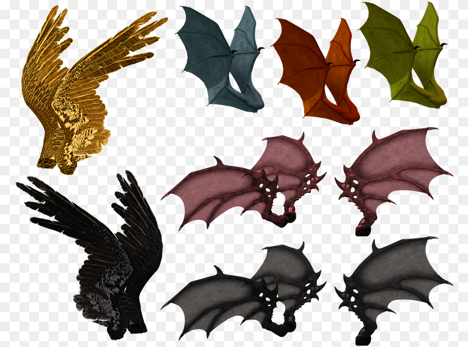 Wing Wings Feather Demon Dragon Bat Monster Vampire Bat, Leaf, Plant, Animal, Bird Free Png