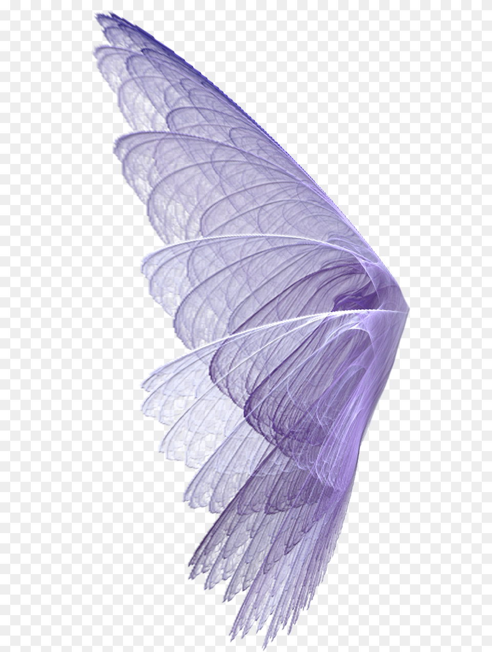 Wing Wingssticker Wings Perpel Bts Exo Ss501 Kard Hyuna, Purple, Leaf, Plant, Art Png