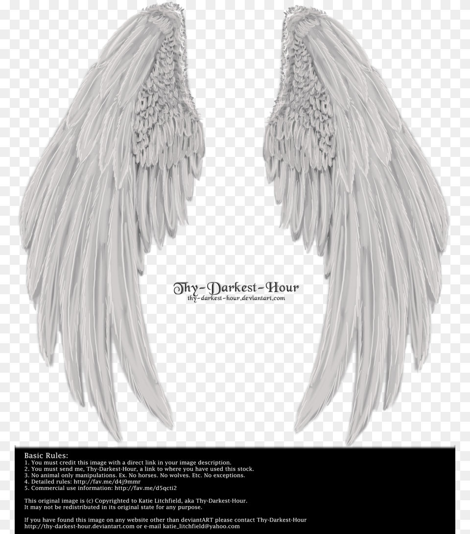 Winged Fantasy V2 Angel With Wings Folded, Animal, Bird, Vulture, Adult Png Image