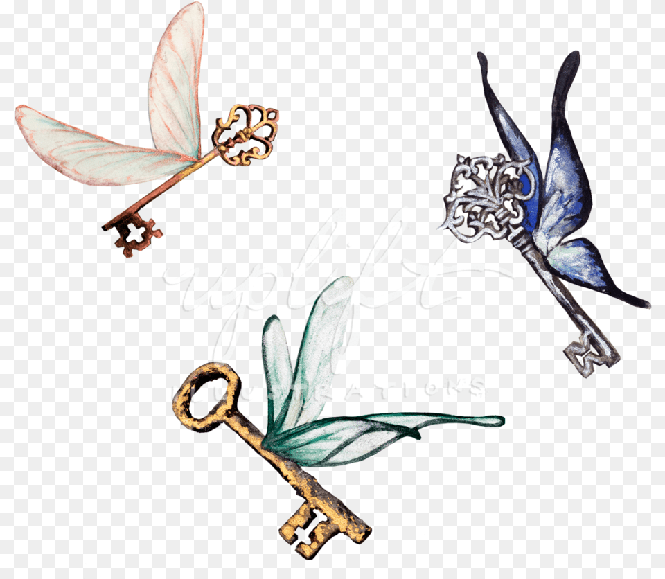 Winged Keys, Key, Accessories Png