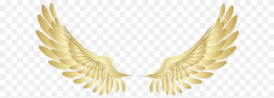 Wings, Accessories, Gold, Jewelry, Necklace Png