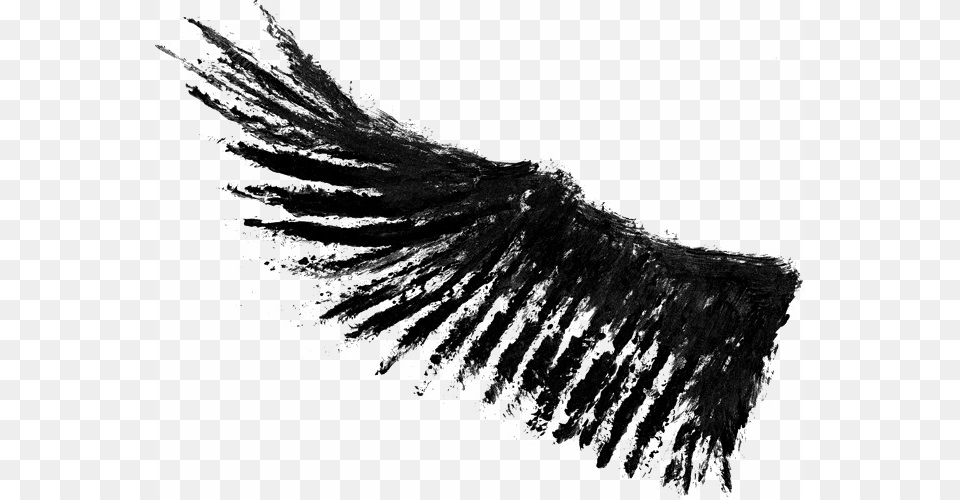 Wings, Art, Silhouette Png Image