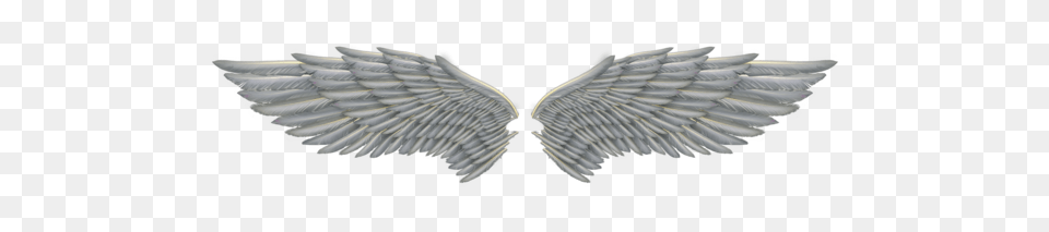 Wings, Animal, Bird, Angel Png