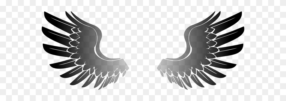 Wings Gray Free Png Download