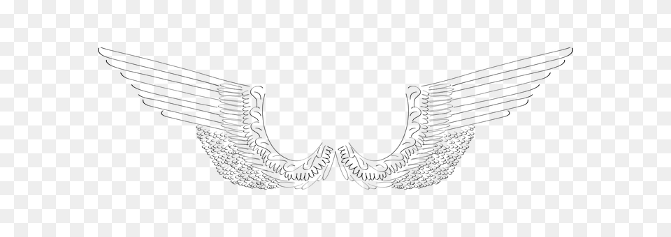 Wings Gray Png Image
