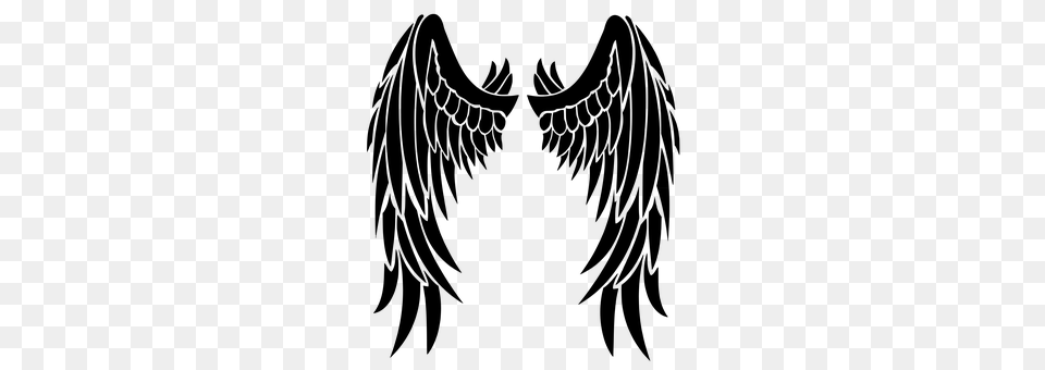 Wings Gray Png