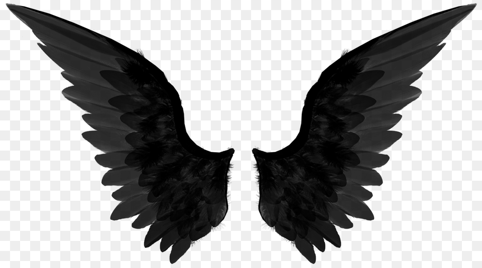 Wings, Stencil Png