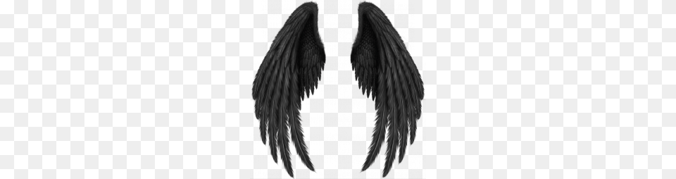 Wings, Electronics, Hardware Free Png Download