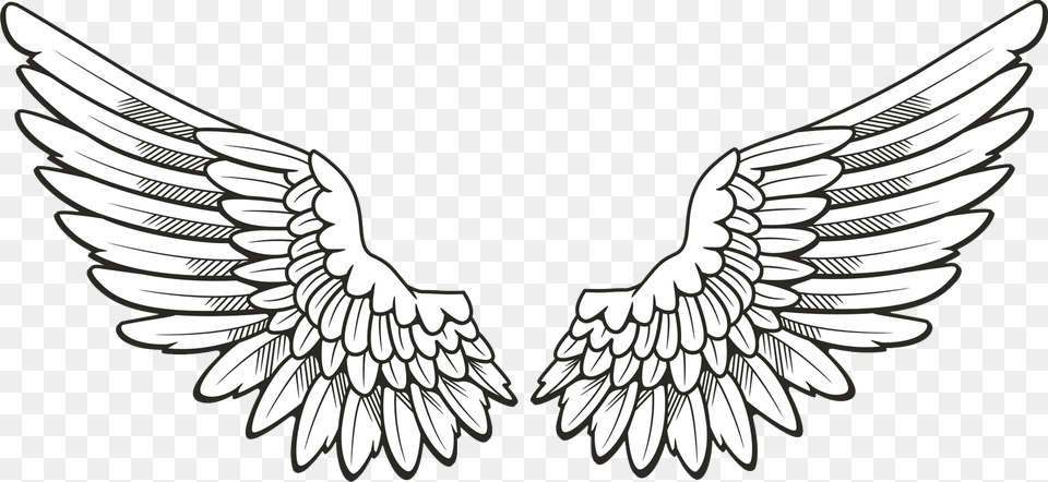 Wings, Emblem, Symbol Free Transparent Png