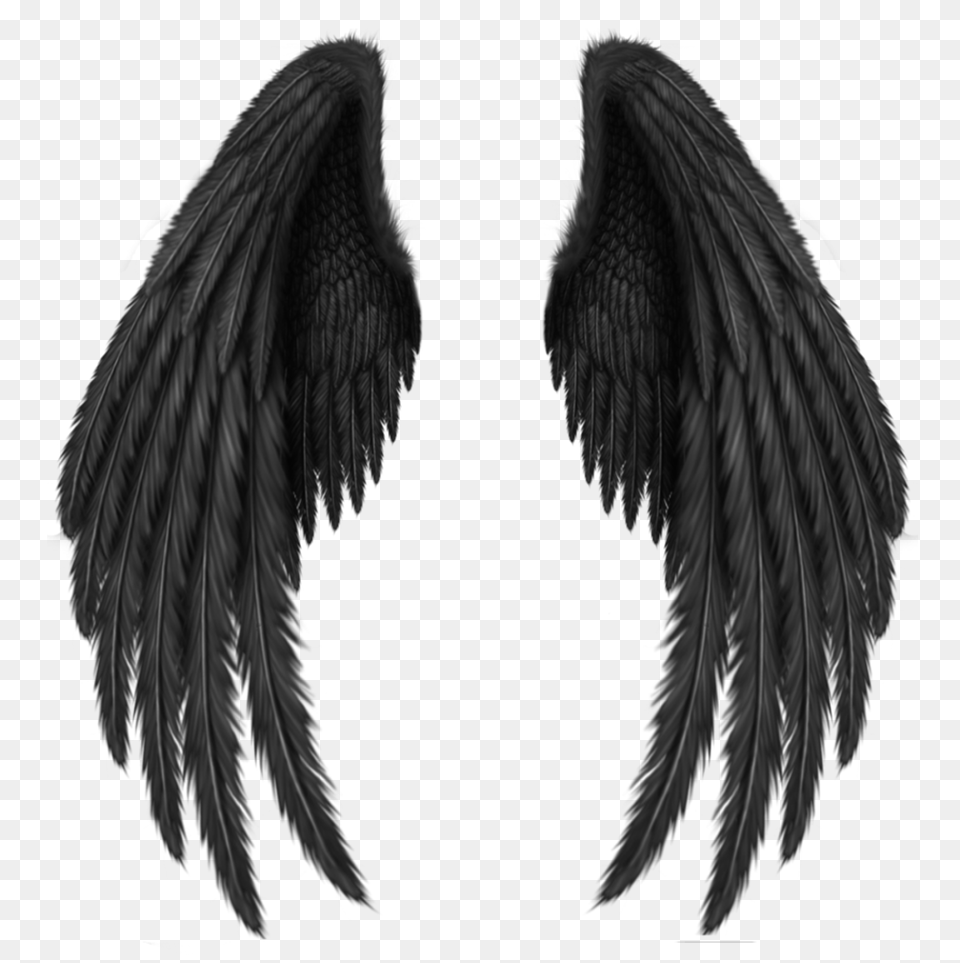 Wings, Animal, Bird, Angel Png Image