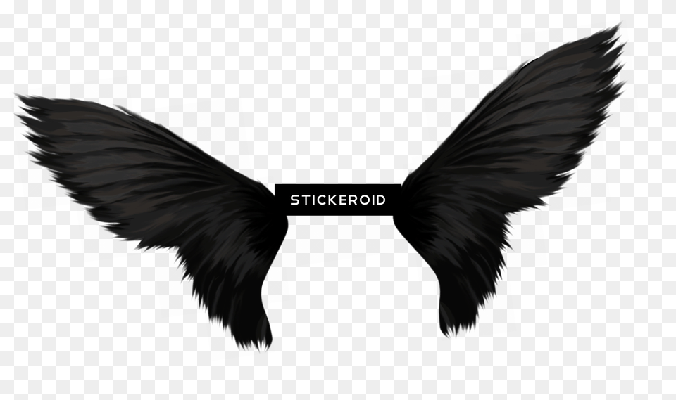 Wings, Animal, Bird, Blackbird, Flying Png Image