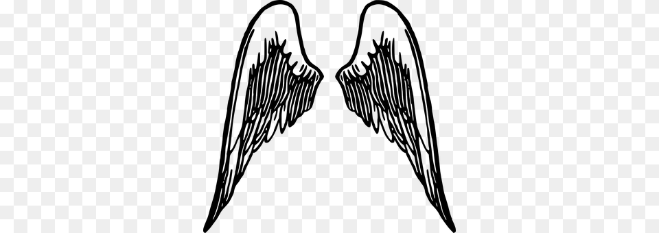 Wings Gray Free Transparent Png
