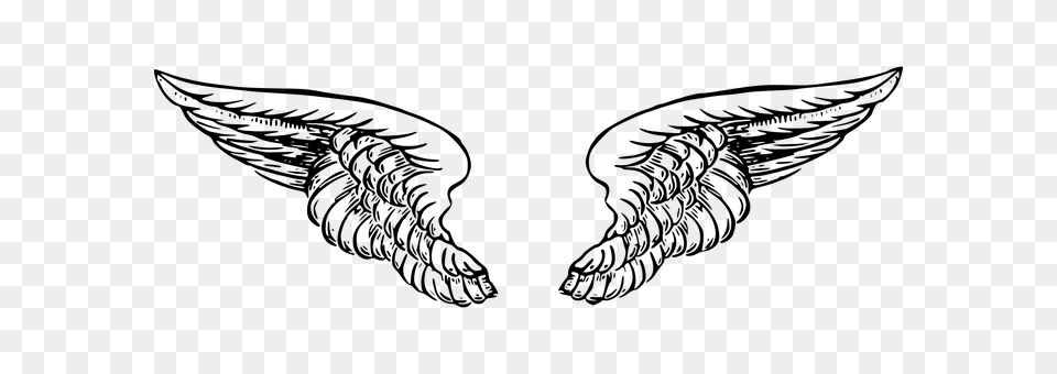 Wings Gray Png